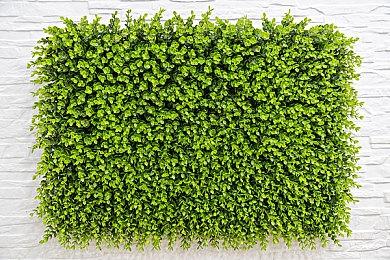 《堡垒之夜》尤达背包BUG导致崩溃 已暂时禁用